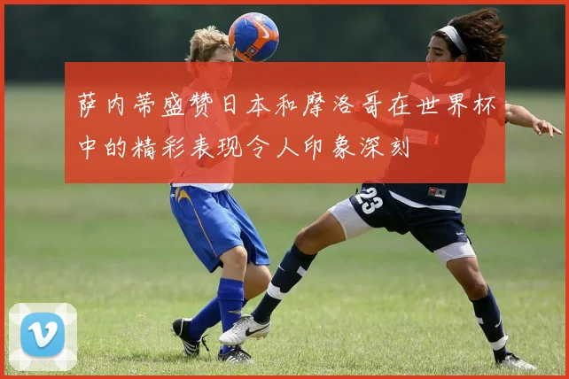 萨内蒂盛赞日本和摩洛哥在世界杯中的精彩表现令人印象深刻