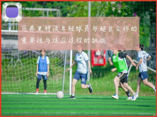 范弗里特谈年轻球员与超巨合作的重要性与适应过程的挑战